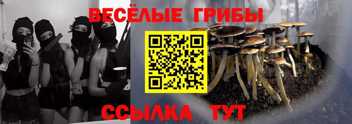 Псилоцибиновые грибы ЛСД Ржев